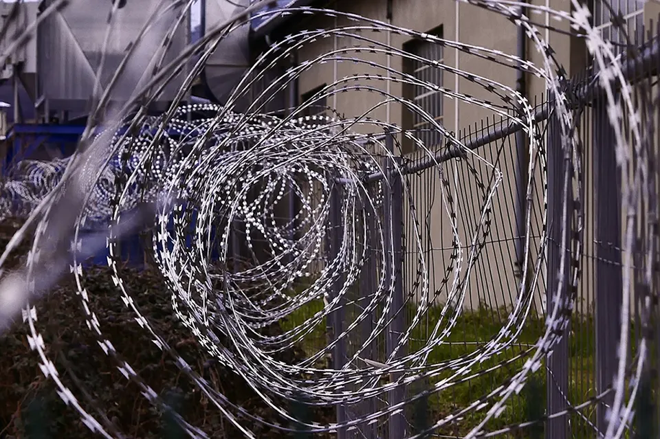 Єгоза 450 мм для посилення невисокої огорожі